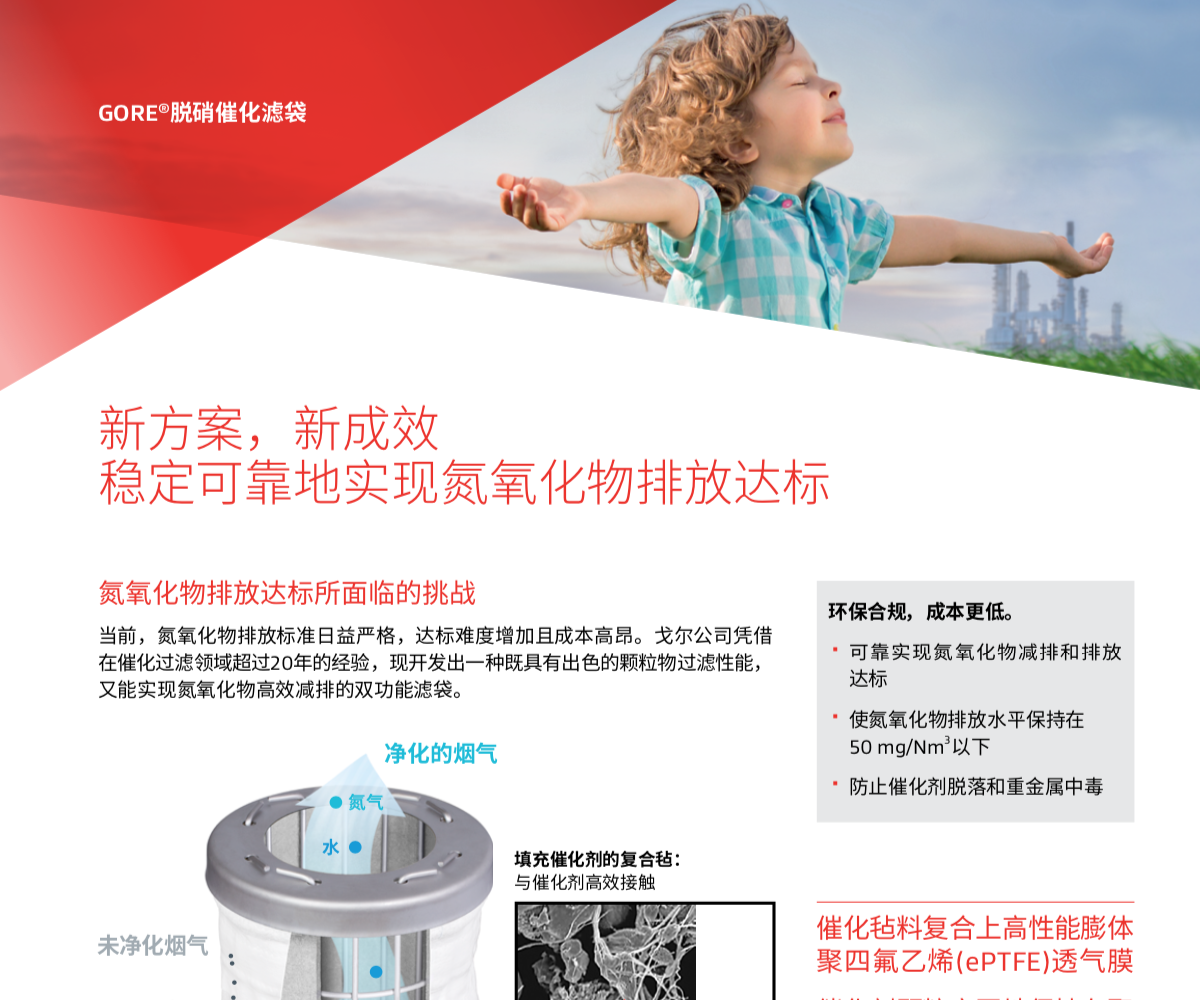 白皮書(shū)，穩(wěn)定可靠地實(shí)現(xiàn)氮氧化物排放達(dá)標(biāo)