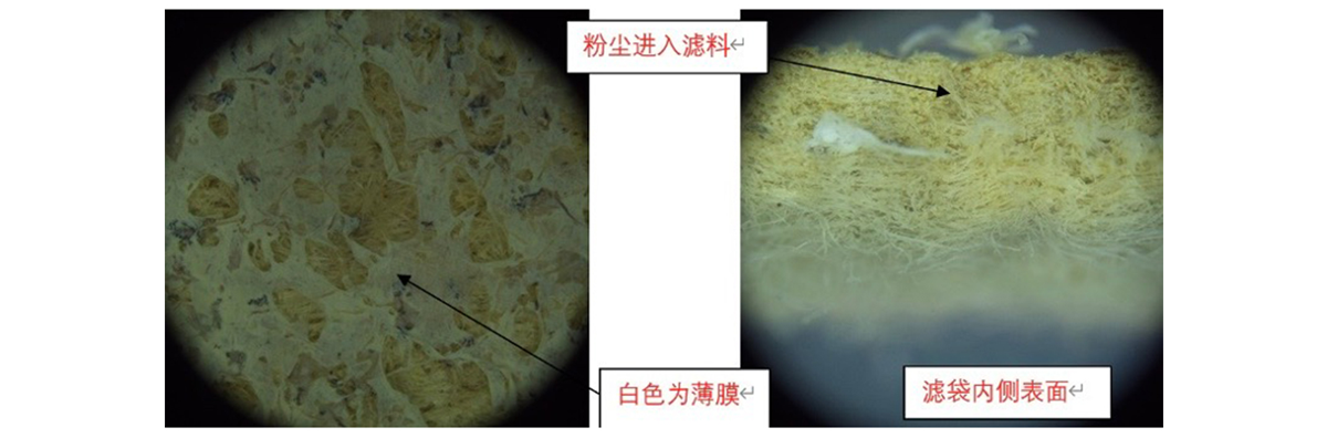 戈爾技術(shù)團(tuán)隊在顯微鏡下觀察之前的濾膜表面及濾袋截面發(fā)現(xiàn)已有鋰電材料粉塵進(jìn)入情況